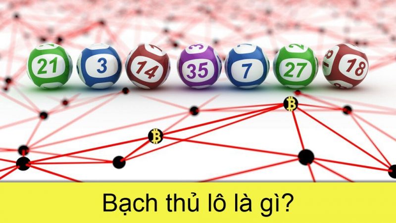 bạch thủ lô là gì?những điều bạn cần biết về bạch thủ lô.